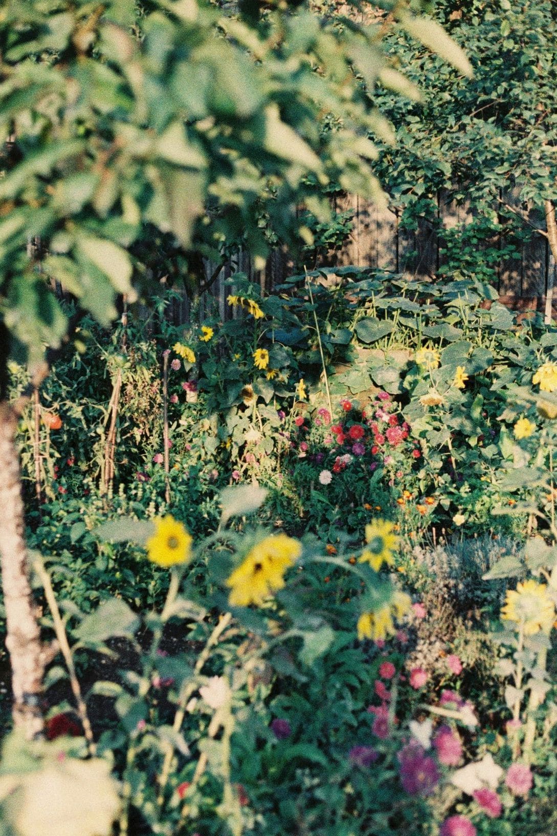 翠庭園